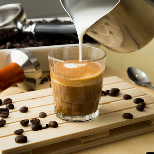 CAFE CULTURE IMAGE