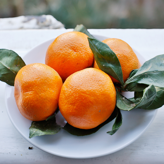 MANDARIN ESSENTIAL OIL