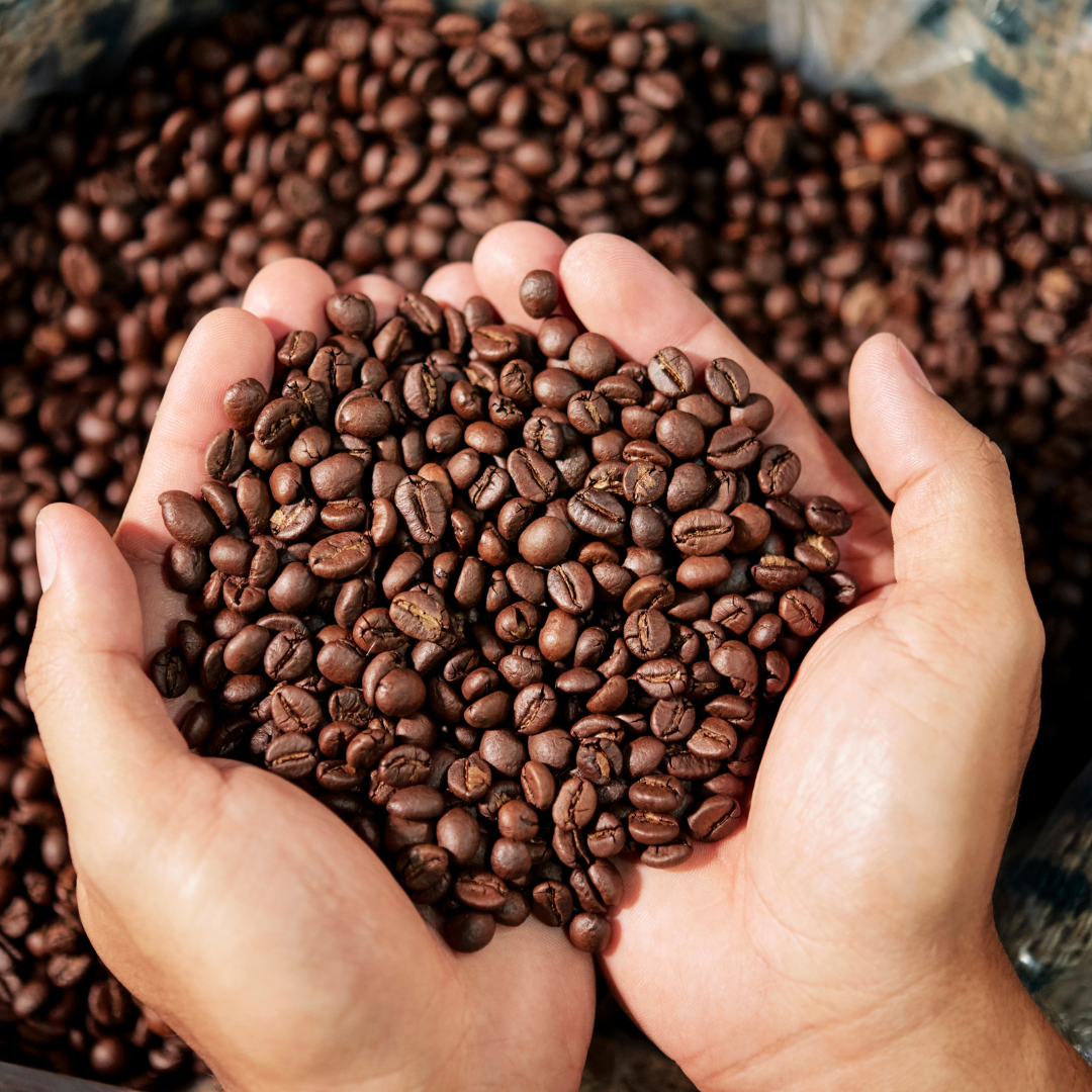 roasted espresso bean