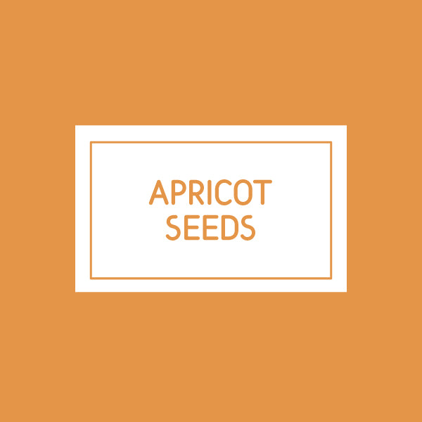 APRICOT SEEDS