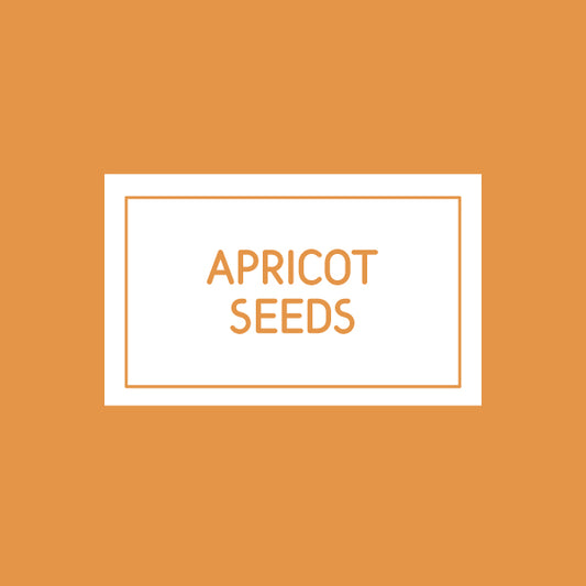 APRICOT SEEDS