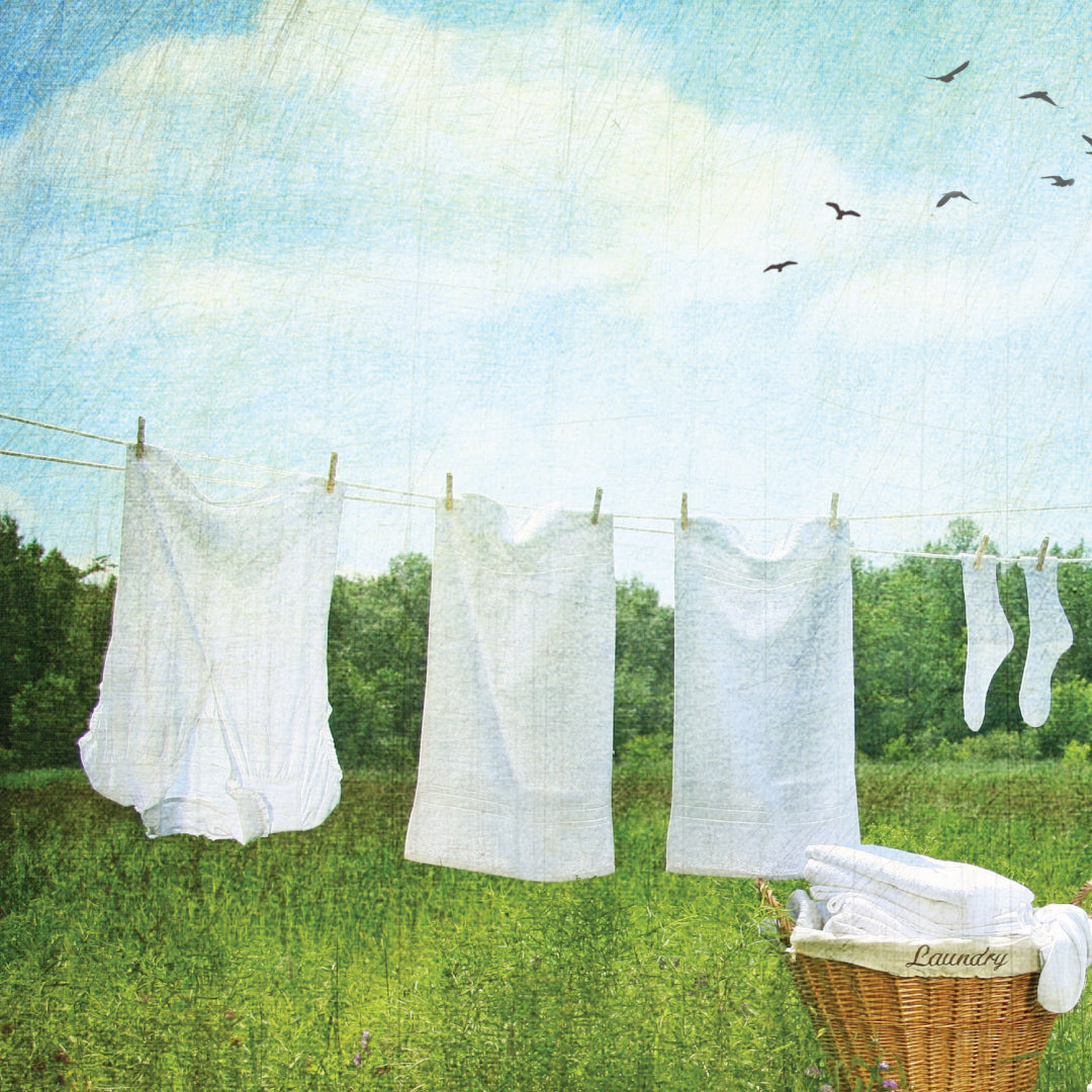 CLEAN COTTON FRAGRANCE OIL