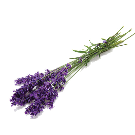 LAVENDER FRAGRANCE OIL