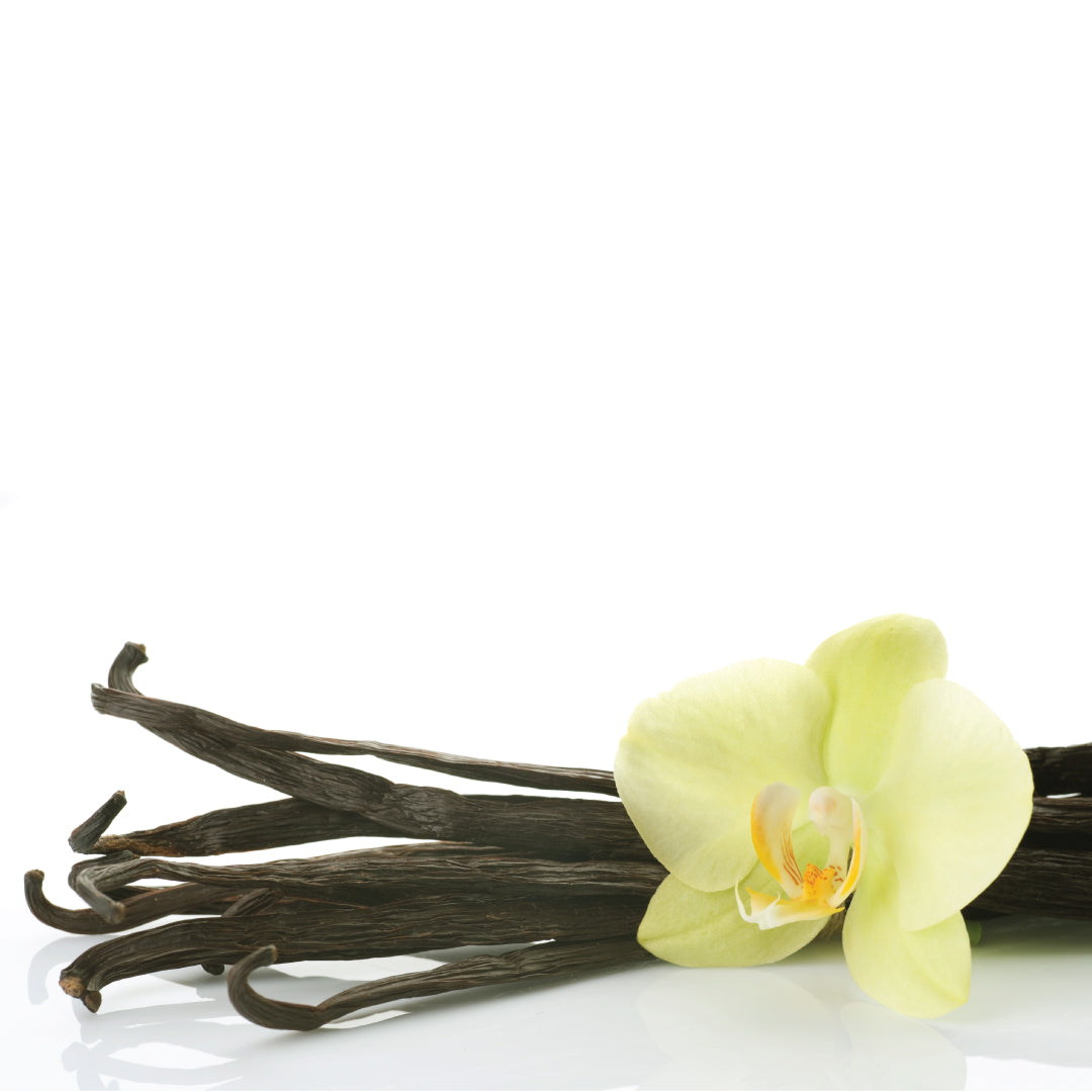 french vanilla fragrance oil