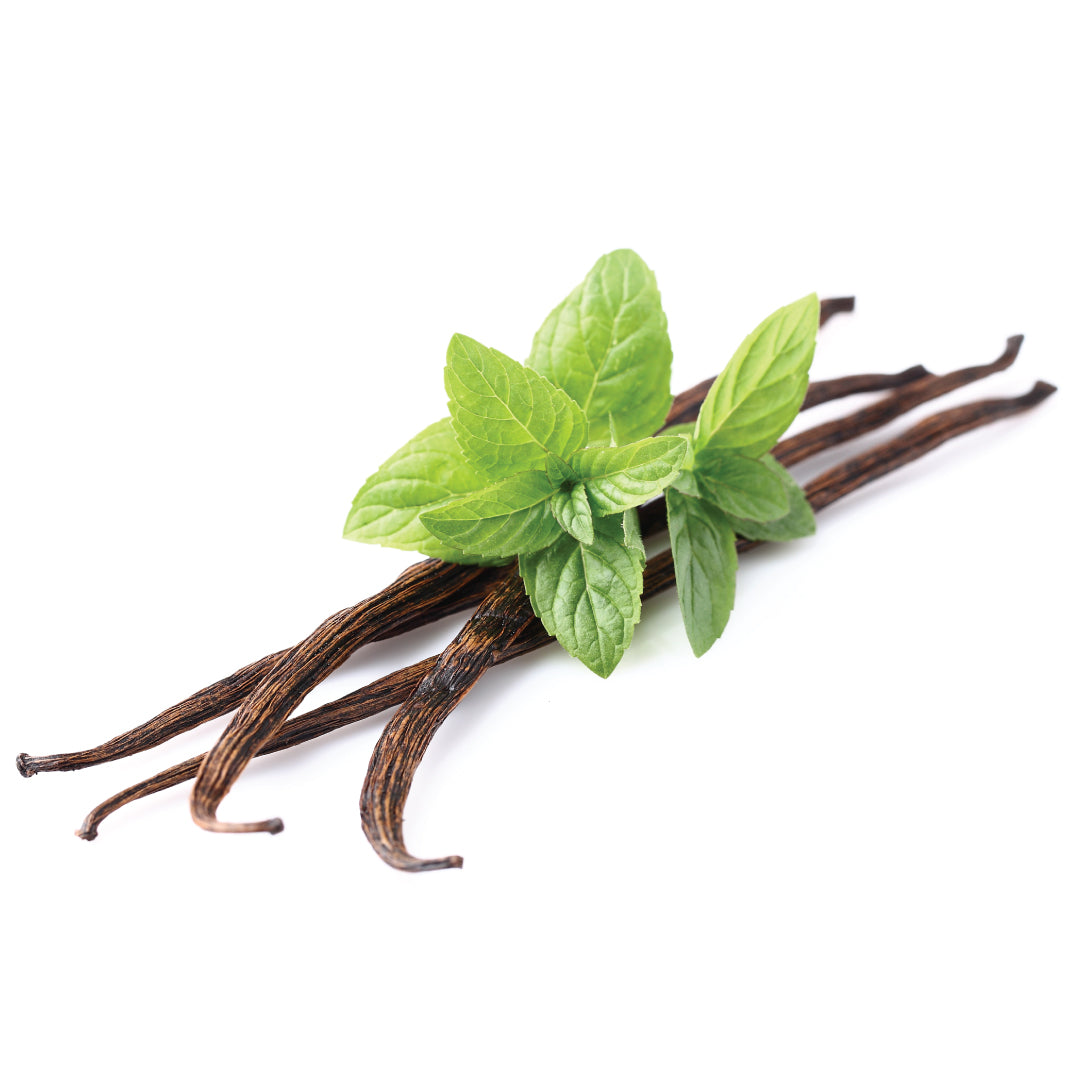 VANILLA MINT FRAGRANCE OIL