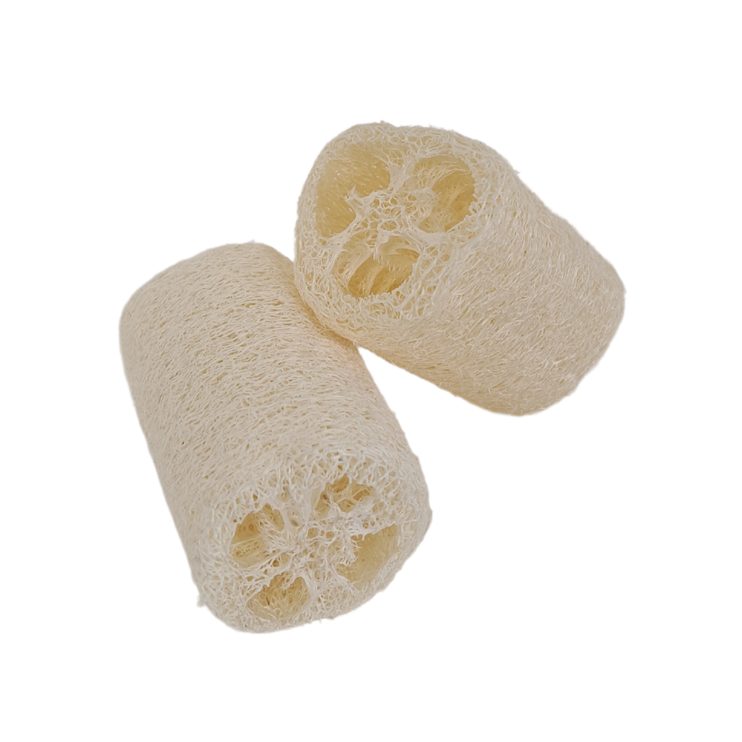 LUFFA SPONGE IMAGE