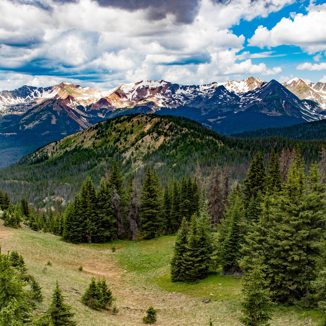 MOUNTAIN RAIN FRAGRANCE OIL