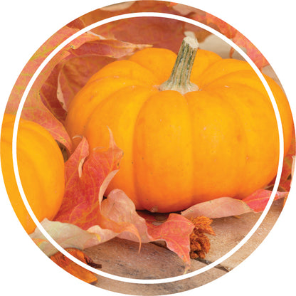 PUMPKIN SOAP MAKING WORKSHOP (16+)